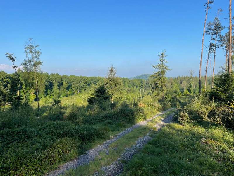  Land Commercial for sale in Teffont, Salisbury, SP3