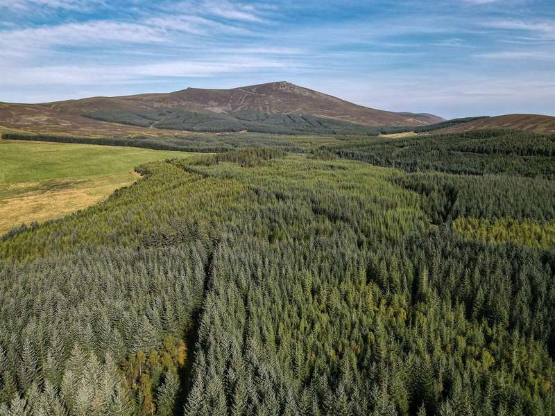 Property for Sale in Glenlivet, Ballindalloch, Ab37