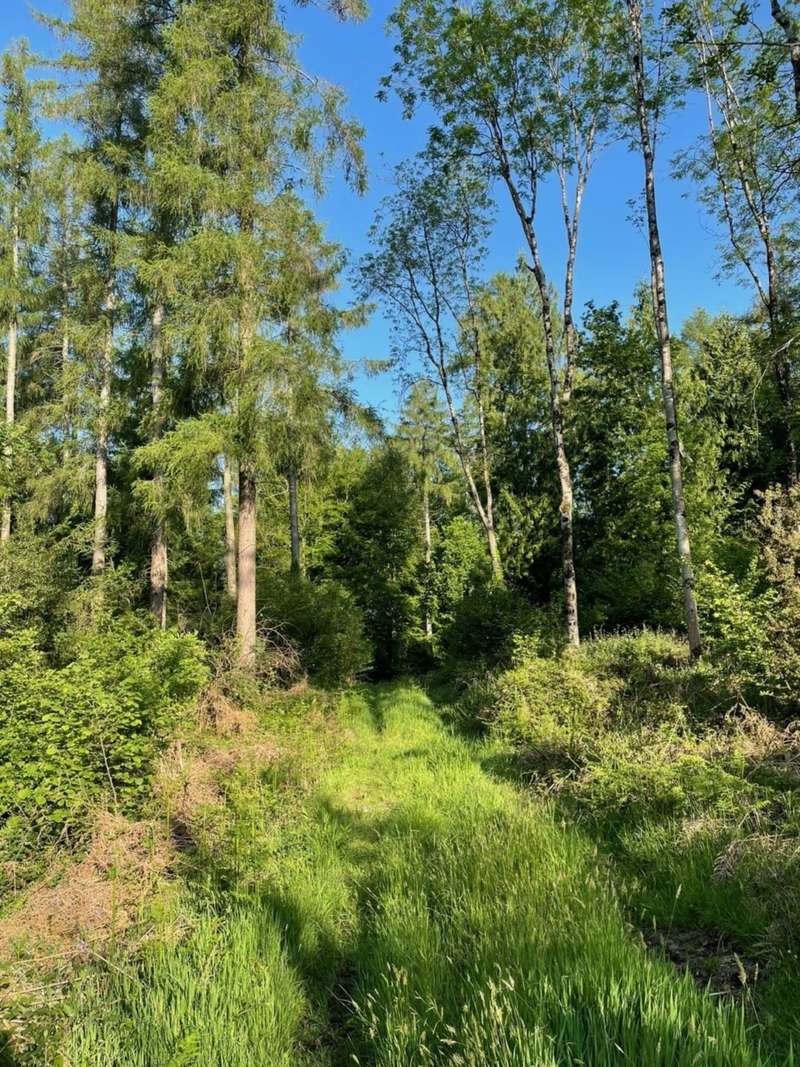  Land Commercial for sale in Teffont, Salisbury, SP3