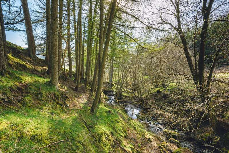 Property for Sale in Bronhyfryd, Llangurig, Llanidloes, Powys, Sy18