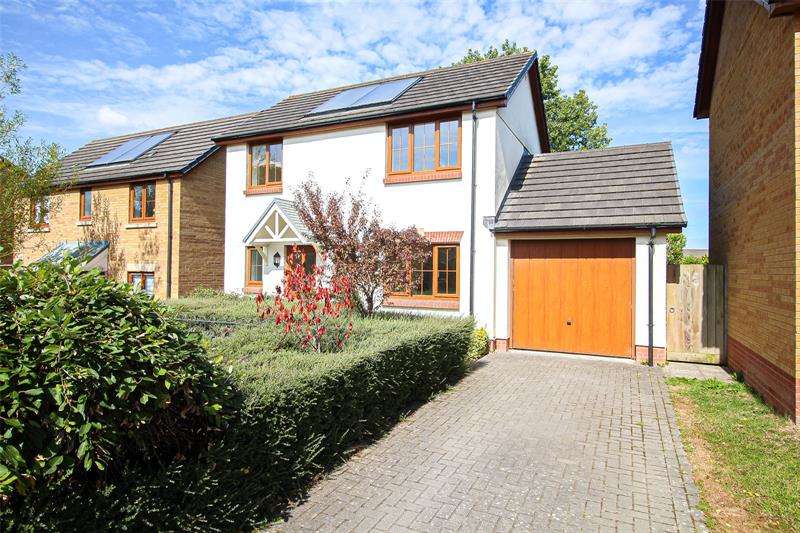 Properties for Sale in Torrington, Torrington Devon