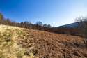  Land Commercial