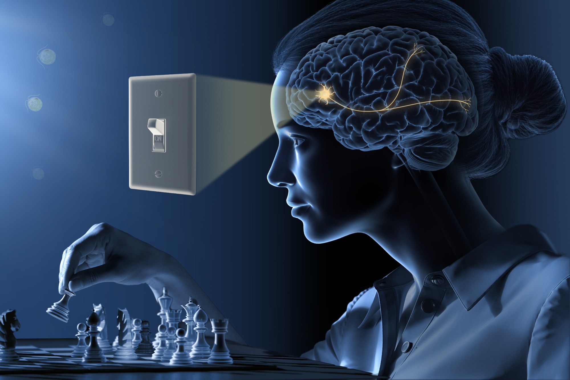 An illustration of a woman playing chess, with a light switch connected to neurons in her brain.