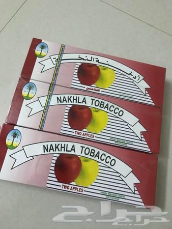 تفاحتان ونخلة مصرية منذ يومين