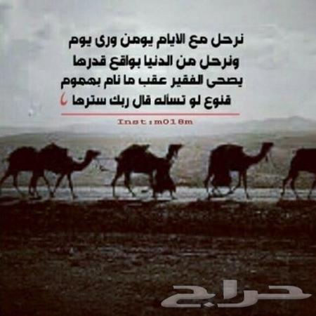 قصيده نرحل مع الايام يومن ورا يوم الشاعر علي احمد ال عامر Youtube