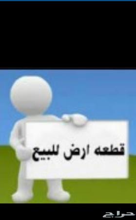 شجرة توتشي طرفية أنا سعيد ارض للبيع مخطط المحيسن Masterkeycomics Com