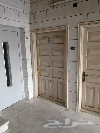 حراج العقار شقق لايجار في حي العاقول في المدينة المنورة