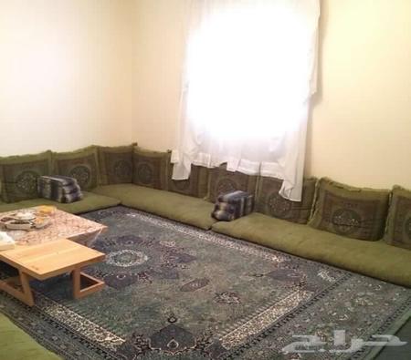 صبي بيت كبير السكر باطرمة ارضي قطن Talentojmc Com