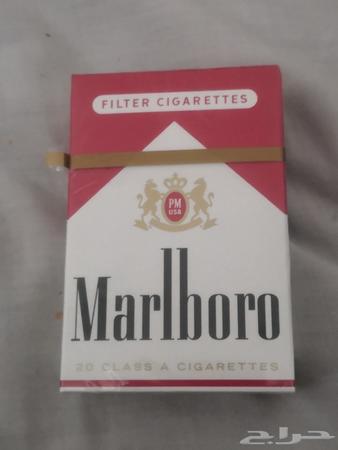 بكت مالبورو احمر امريكي