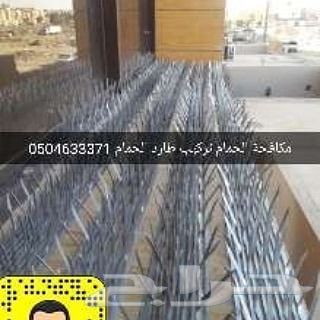 شركة مكافحة الحمام شحن شوك طارد الحمام