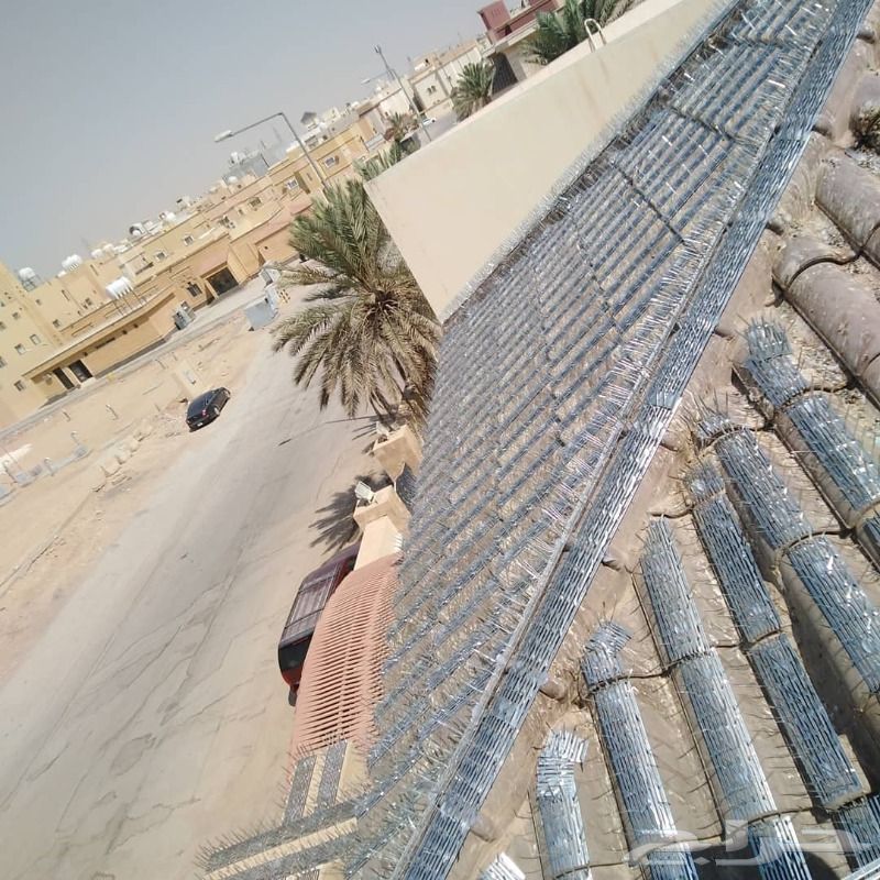 شركة مكافحة الحمام شحن شوك طارد الحمام