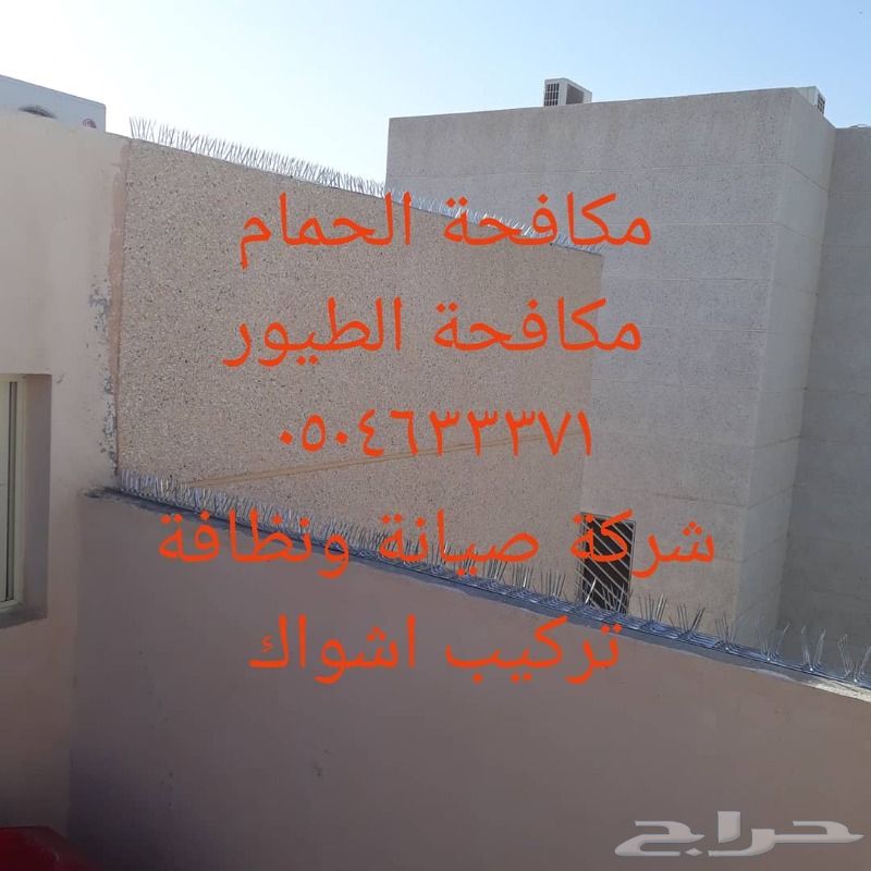 شركة مكافحة الحمام شحن شوك طارد الحمام