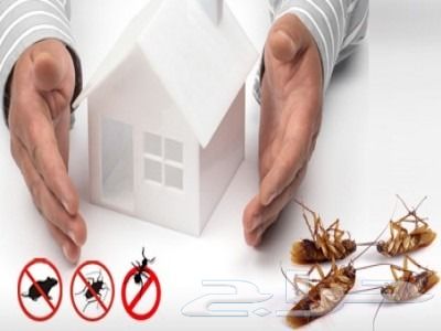 شركة رش مبيدات مكافحة حشرات مكافحة الصراصير