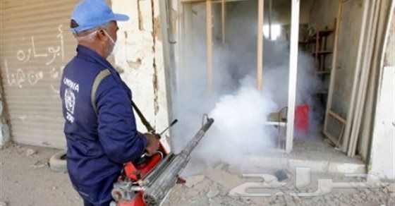 شركة رش مبيدات مكافحة حشرات مكافحة الصراصير