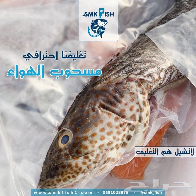 سمك طازج يوصل لباب بيتك