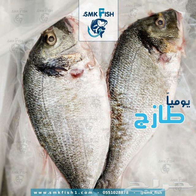 سمك طازج يوصل لباب بيتك