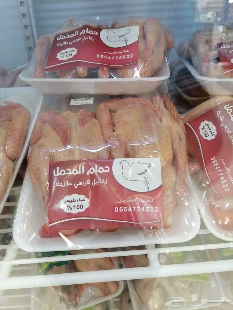 فروخ زغاليل حمام فرنسي جامبو مذبوح