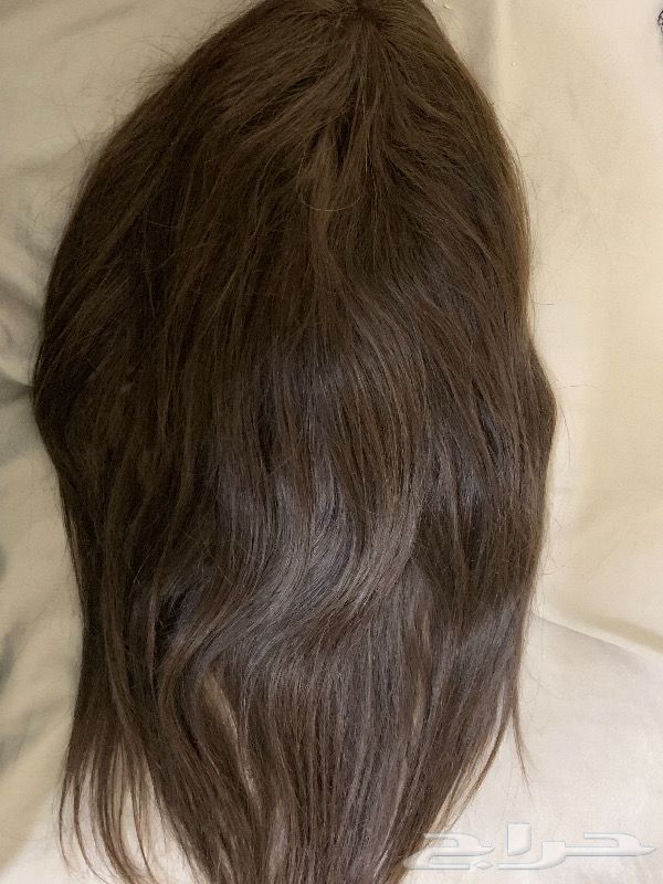 قابلة للتحويل جورج ستيفنسون اللوحة القماشية سعر باروكة شعر طبيعي Fredeyewear Com