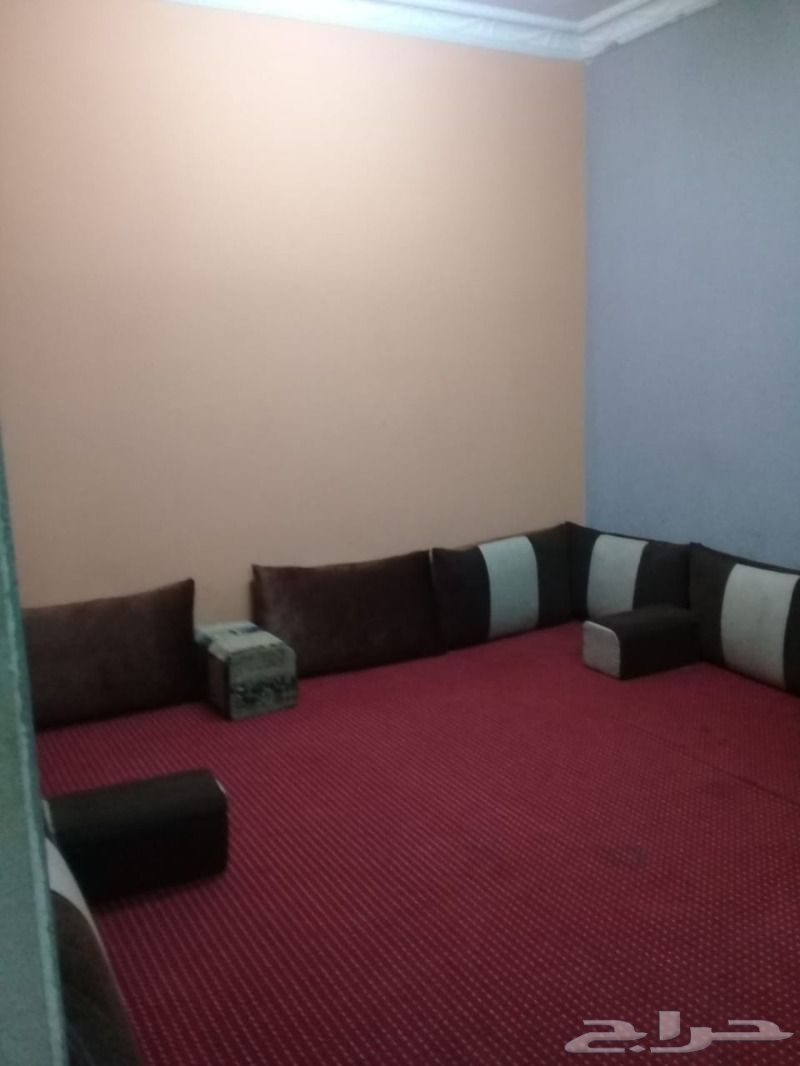حراج العقار شقق وغرف عزاب مفروشة للايجارشهري حراج العقار شقق وغرف عزاب مفروشة للايجارشهري