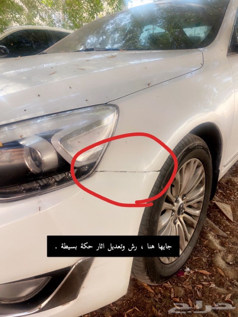 كادينزا 2014