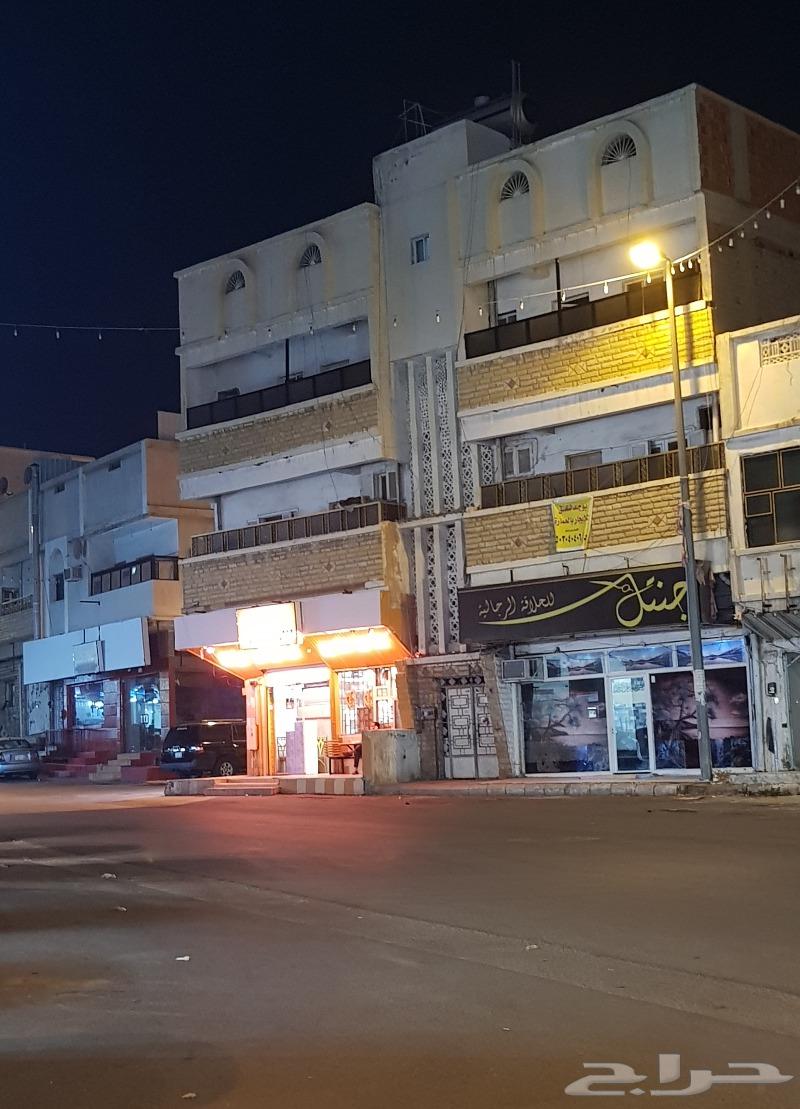 شقة للايجار حي الريان