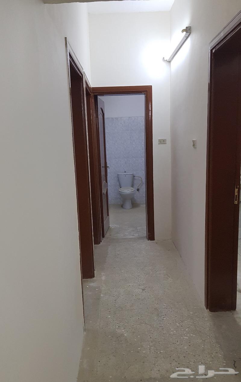 شقة للايجار حي الريان