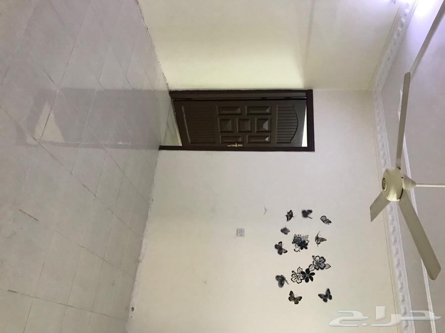 حراج العقار شقه عوائل في مخطط 2 في الشرائع حراج العقار شقه عوائل في مخطط 2 في الشرائع