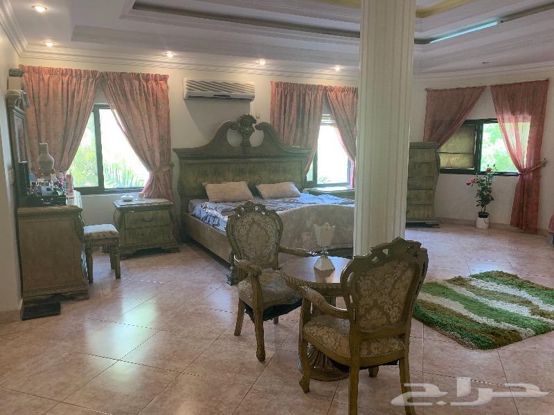 غرفة نوم ملكية في مدينة الجبيل الصناعية غرفة نوم ملكية في مدينة الجبيل الصناعية