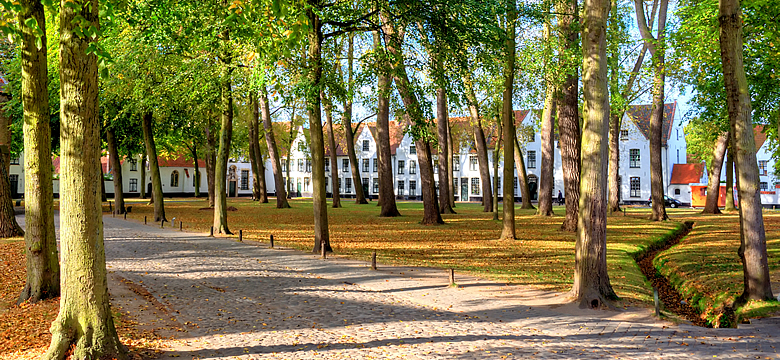 De voor- en nadelen van co-wonen of woningdelen