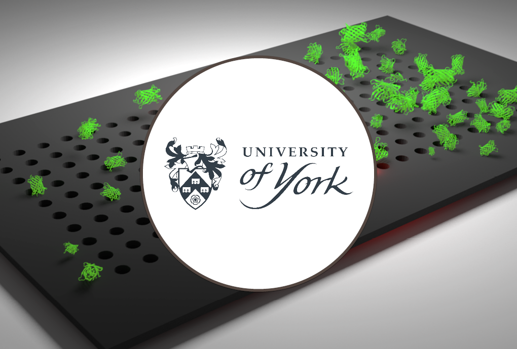 Collaboration Case Study University of York - IN-PART - Blog Header_1.0