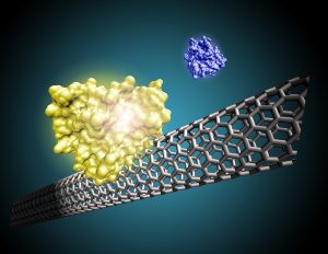 Credit: Oregon State University (CC BY-SA 2.0) Nanotechnology IP Trends Nanotube University Collaboration
