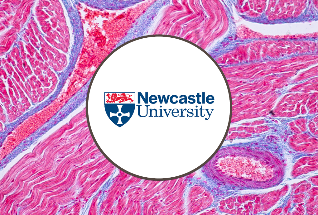 Newcastle University Testing Proprietary Compounds - Blog Header