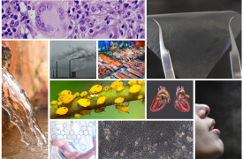 Top 10 Innovations 2019 Q1 - Blog Header