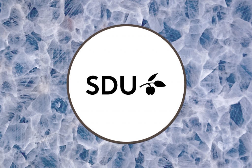 University of Southern Denmark - IN-PART Success Profile - Blog Footer