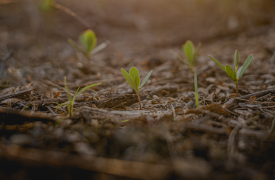 IN-PART Blog - What’s next for the university-industry ecosystem after COVID-19? - Header image