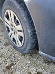 Immagine 11 - Autocarri Peugeot Ranch e  Fiato Doblò - Lotto 1 (Asta 10007)
