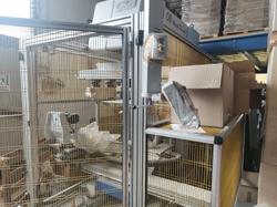 Macchina tampografica Tosh Logica 08 E03 - Lotto 1 (Asta 10034)