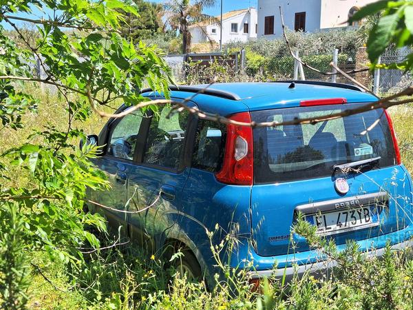 3#10044 Autovettura Fiat Panda in vendita - foto 3
