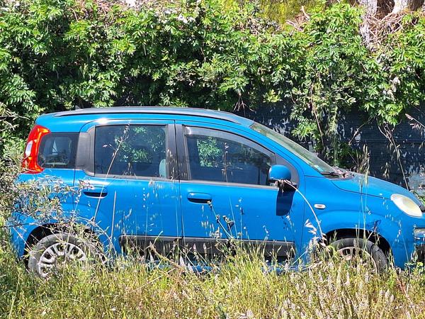 3#10044 Autovettura Fiat Panda in vendita - foto 4