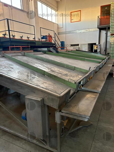 Lavorazione frutta e verdura in vendita