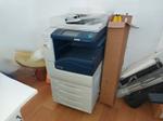 Immagine 20 - Arredo da ufficio ed attrezzature elettroniche d'ufficio - Lotto 1 (Asta 10107)
