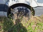 Immagine 17 - Autocarro Volkswagen Crafter - Lotto 1 (Asta 10109)