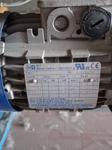 Immagine 7 - Silos farina Agriflex - Lotto 1 (Asta 10146)