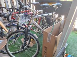 Nove bici di vario genere - Lotto 18 (Asta 10154)