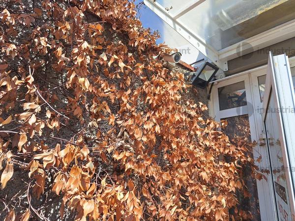 3#10164 Impianto allarme e videosorveglianza in vendita - foto 4