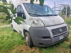 Fiat Dobl   and Ducato trucks - Lot 0 (Auction 10179)
