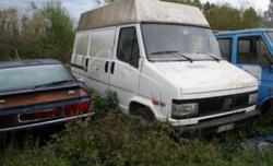 Furgone Fiat Ducato - Lotto 29 (Asta 10183)