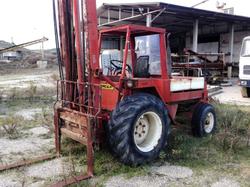 Muletto Moncavalli - Lotto 8 (Asta 10183)