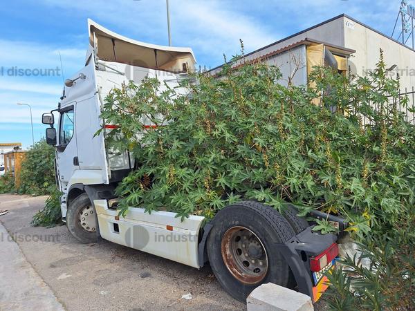 16#10195 Trattore stradale RENAULT TRUCKS 450DXI in vendita - foto 2
