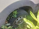 Immagine 8 - Furgone Iveco Daily Minivan - Lotto 2 (Asta 10196)